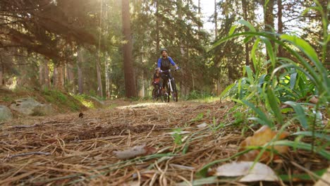 pareja de ciclismo de montaña montando en el bosque en un día soleado