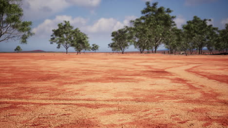 arena agrietada en el verano con el sol