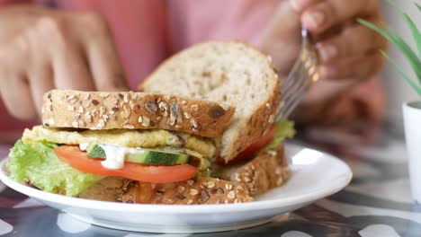 person eating a healthy sandwich