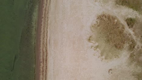 Top-down-aerial-shot-of-a-beach-with-a-meadow-in-Rewa,-Poland