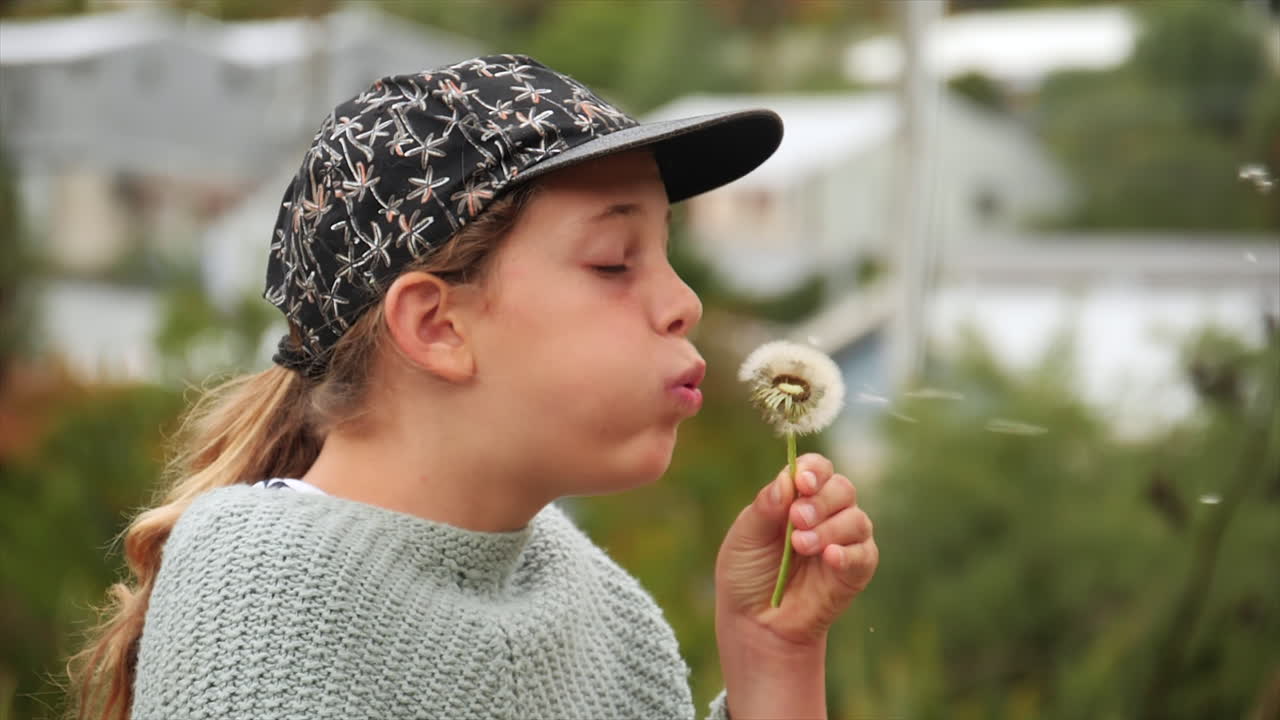 Girl blowing a dandelion puffball and making a wish so that the seeds will carry the wish to the heaven and make it come true