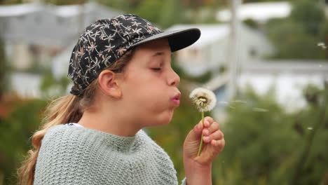 girl blowing a dandelion puffball and making a wish so that the seeds will carry the wish to the heaven and make it come true