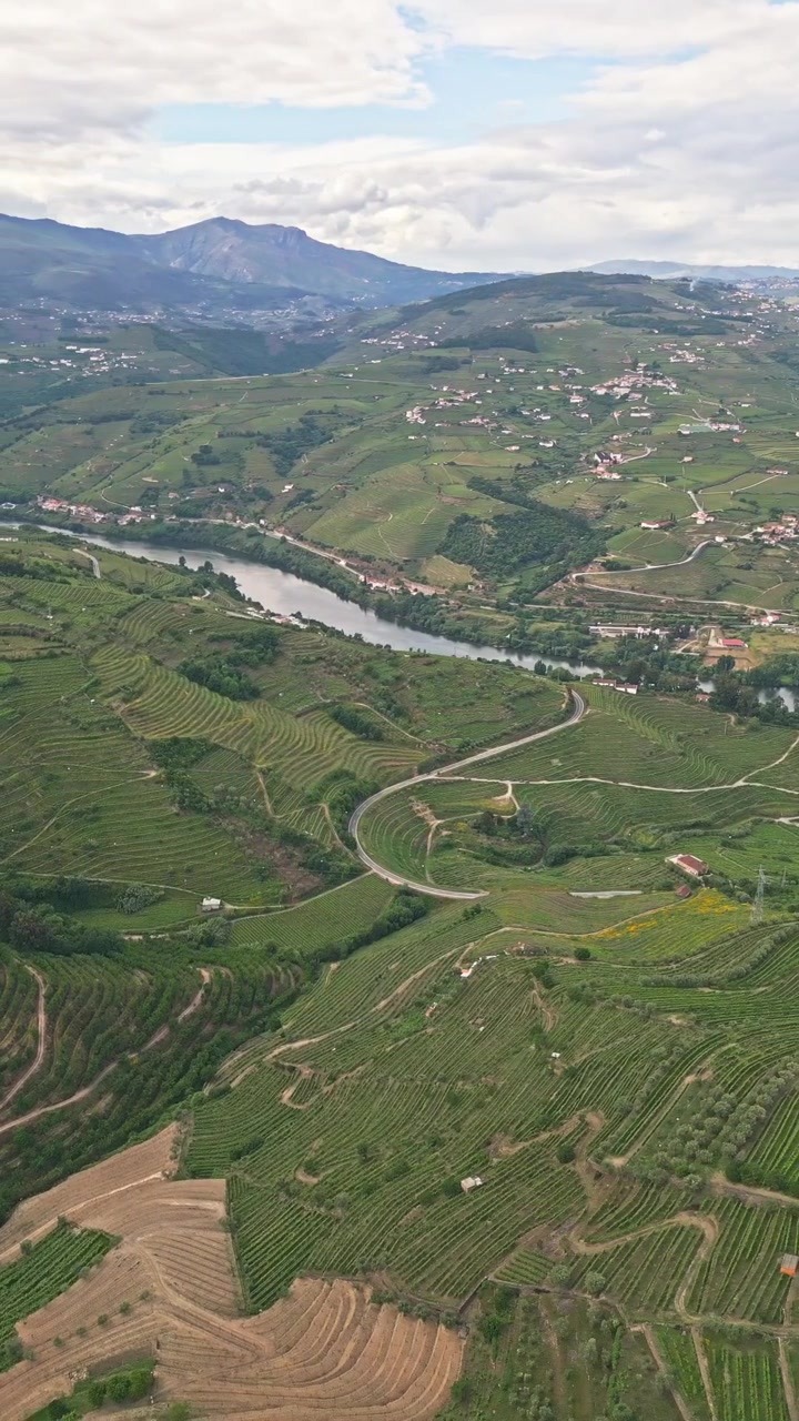 Vista aerea di rigogliosi vigneti a terrazze e paesaggio fluviale nel Portogallo settentrionale