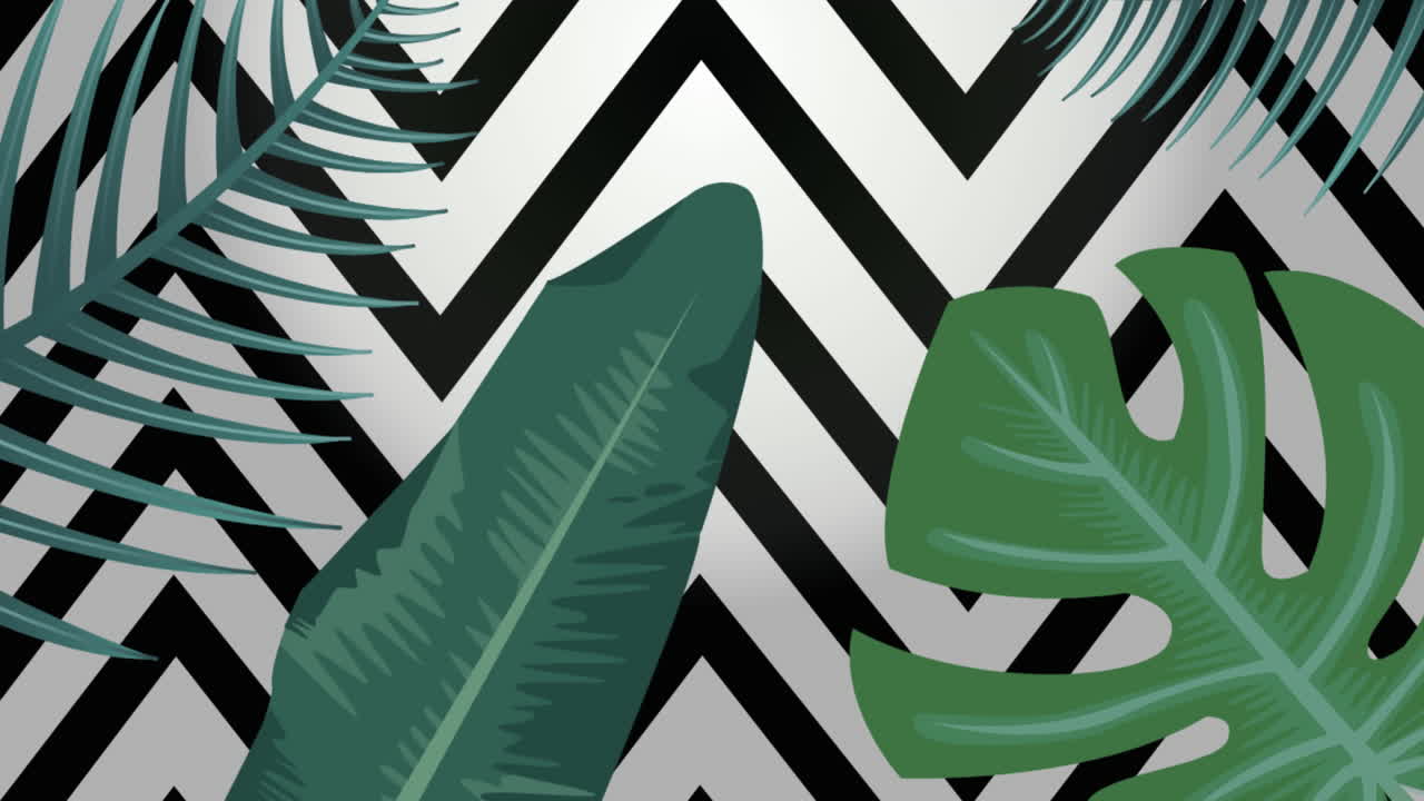 animación de hojas de plantas tropicales sobre un fondo blanco y negro