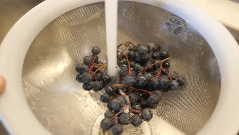 Rinsing Fresh Berries in a Sieve Under Running Water