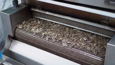 processing sun flower seeds in a machine ,