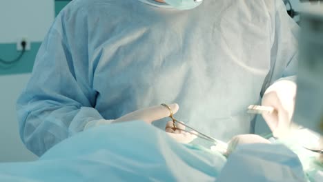 surgeon sutures the incision to the patient during surgery