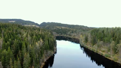 Aerial-moving-view-of-pine-trees-and-black-lake-in-the-mountains