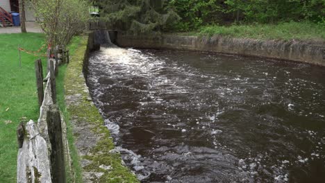 we see a small waterfall creating the strength of the water flow in this little river. it looks as though the water is dancing with the wind and the forces of nature.