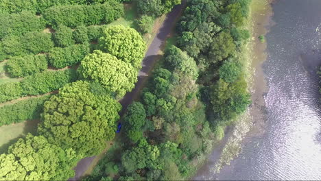 aerial drone shot of large macadamia farm and australian agricultural land in byron bay nsw