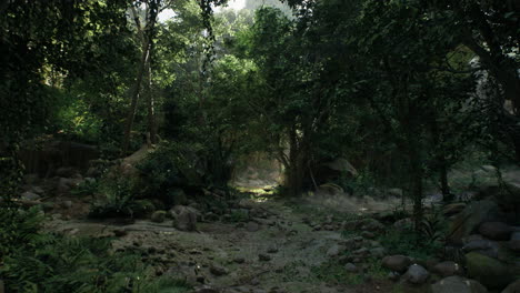 a lush, green jungle path with sunlight filtering through the trees