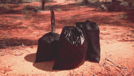 closeup of full trash bags on the sand