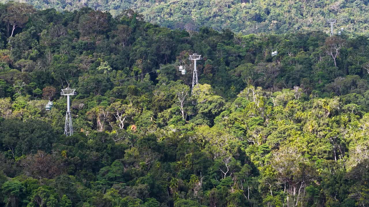 Aerial view of cable cars moving over dense green forest and mountainous terrain in daylight, with steady camera and natural lighting throughout the short sequence
