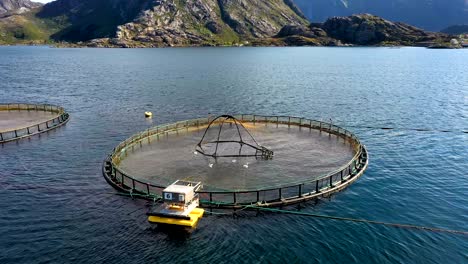 aerial footage farm salmon fishing in norway