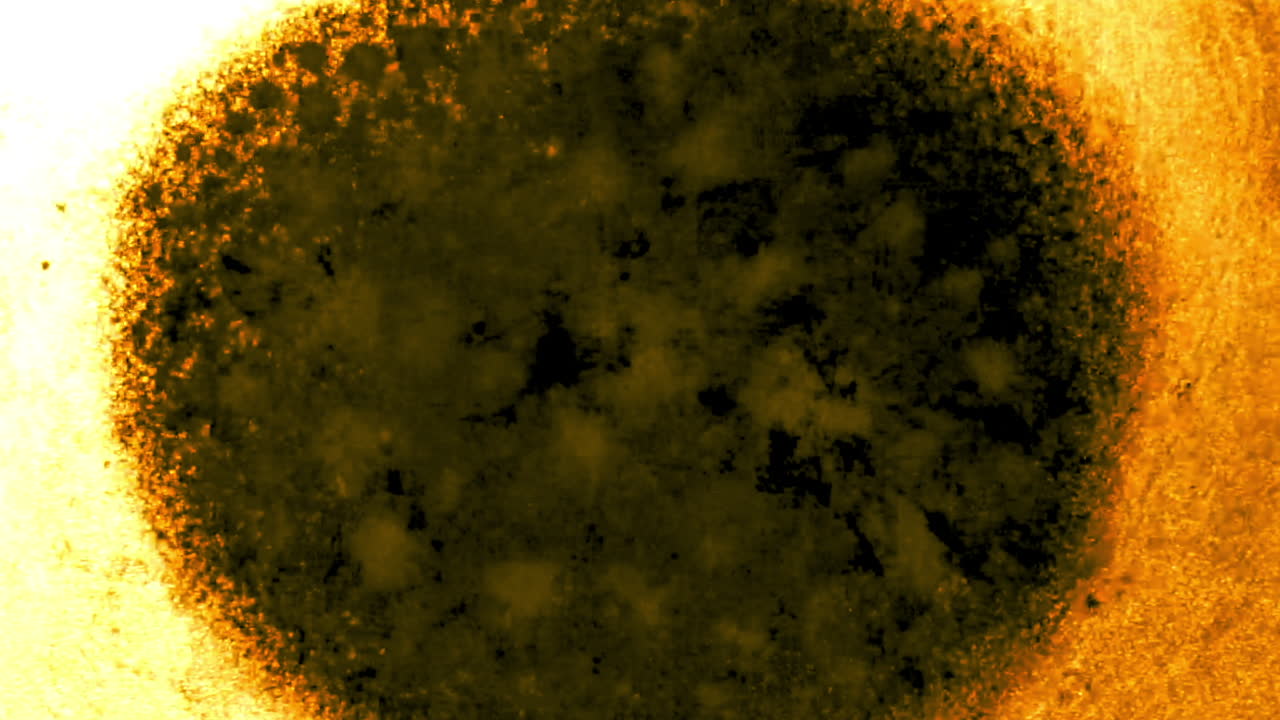 los glóbulos de esporas de lycopodium, que se asemejan a partículas subatómicas, exhiben características de fisión y fusión.