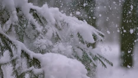 Winterlandschaft-Bei-Schneefall.-Abstrakter-Hintergrund-Für-Winterweihnachten-In-Superzeitlupe.