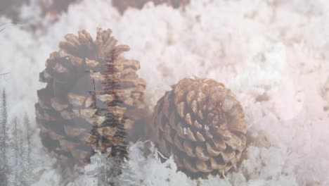 animation of winter landscape over snow and cones