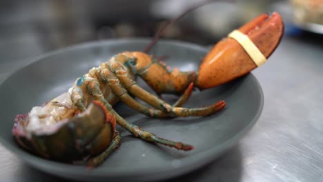 tasty lobster served in bowl in seafood restaurant