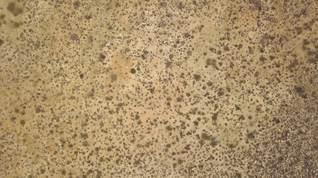 Aerial top down flight over dry american desert at Joshua Tree National Park in California,US.