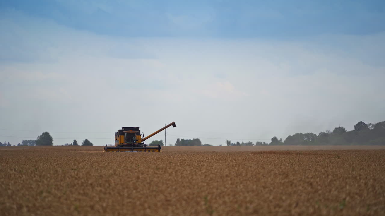 Machine for picking crops standing in the vast yellow field. Modern combine ready to work on a harvest season. Harvester machine with the turned on upper flasher.