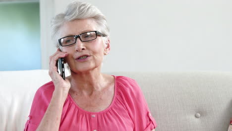 grandmother having a call