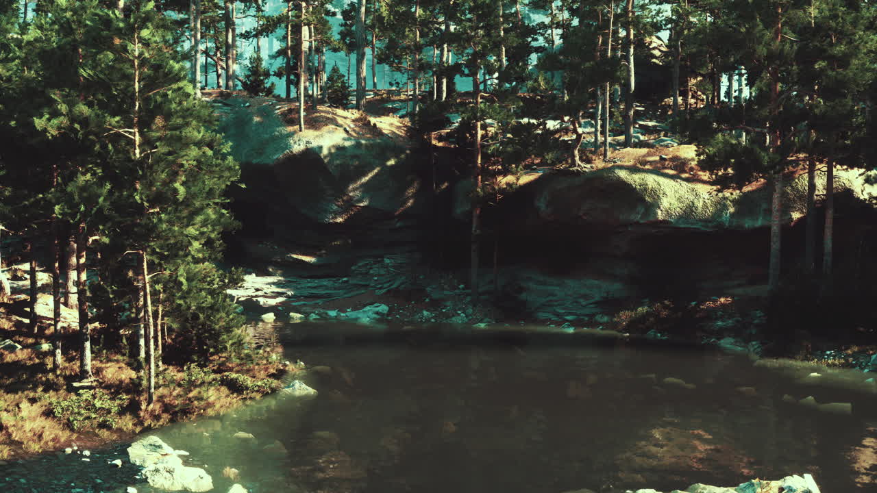 tranquilo río del bosque