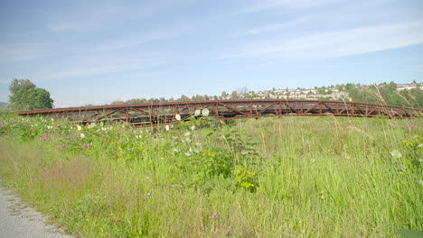 puente sobre tierras pantanosas en una tarde soleada