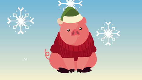 un pequeño cerdo con ropa de navidad.