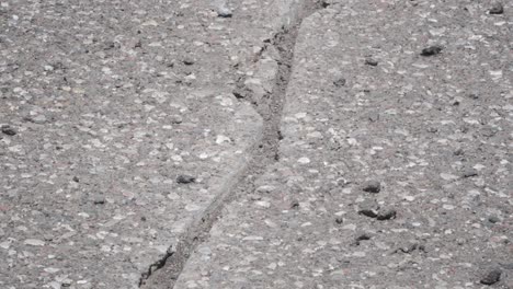 routed asphalt prepped for crack sealing