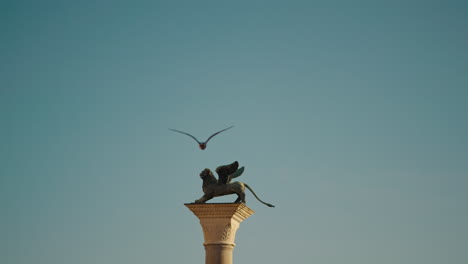 winged lion statue on column in venice
