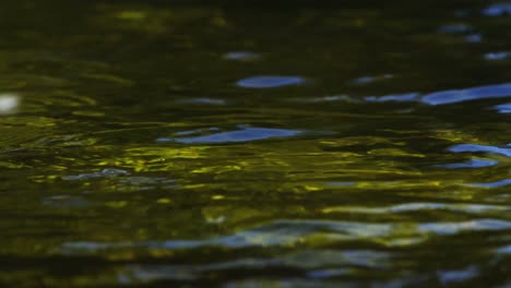primer plano del señuelo de pesca con mosca en la superficie del río