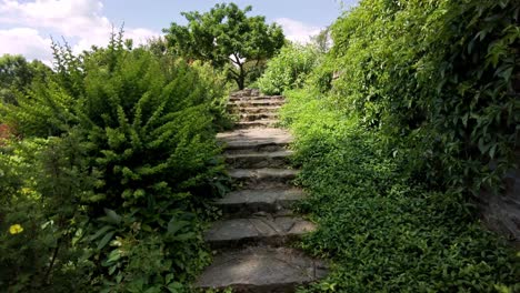 Persona-Subiendo-Escaleras-Pedregosas-En-Un-Camino-Rural-En-Medio-De-Plantas-Verdes,-Svitavy