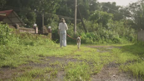 Low-angle-shot-of-woman-in-hat-walking-with-her-lying-Jack-Russell-dog