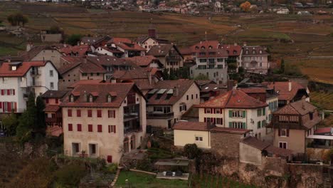 aerial jib up of small town located between vinyards