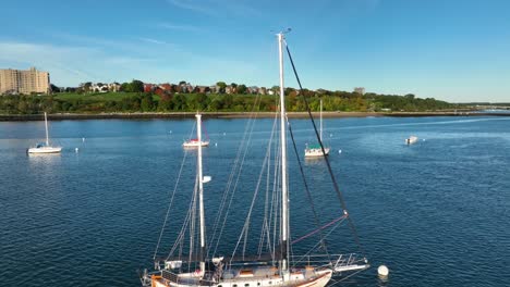 tall sailboat in harbor