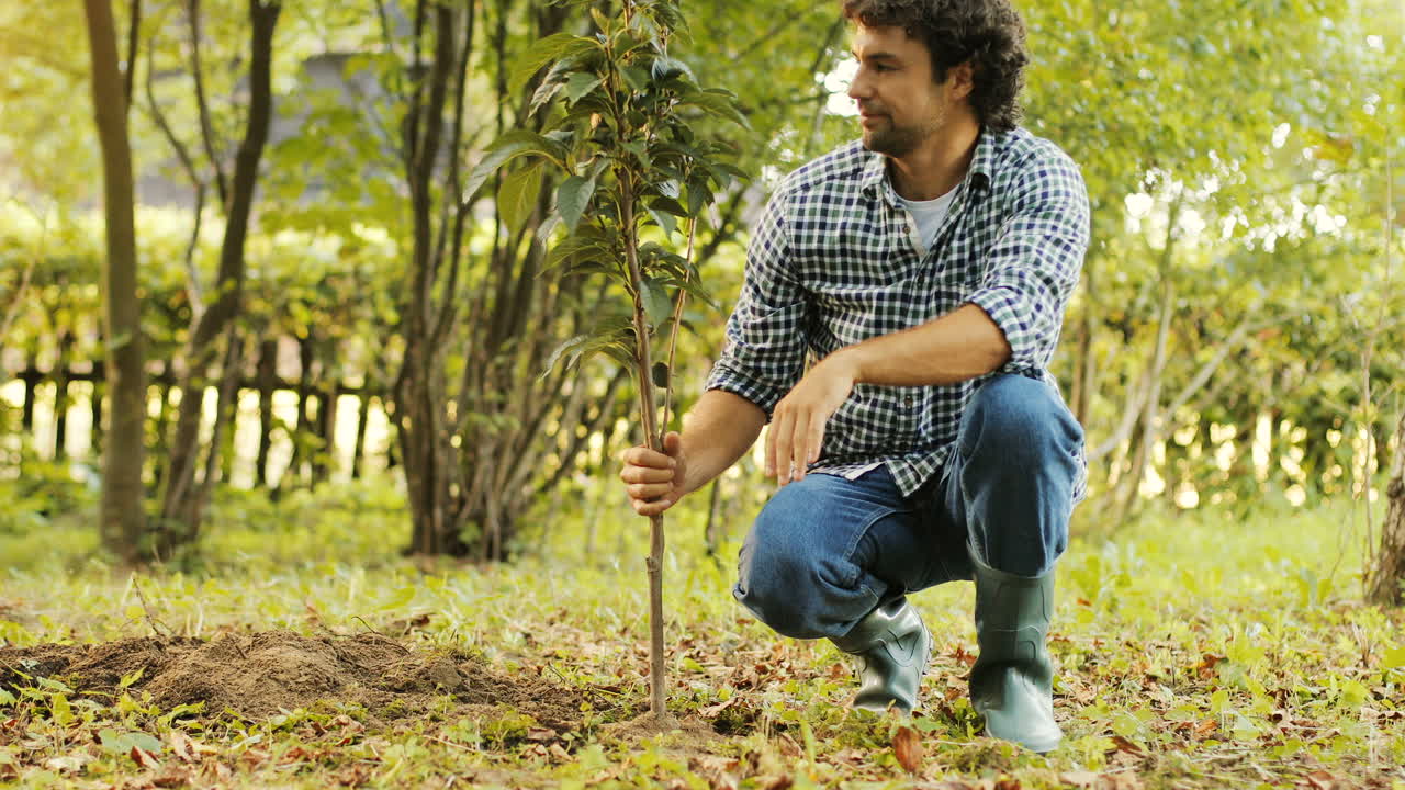 Closeup. Portrait of a farmer planting a tree. He touches the tree, then looks into the camera and smiles. Blurred background