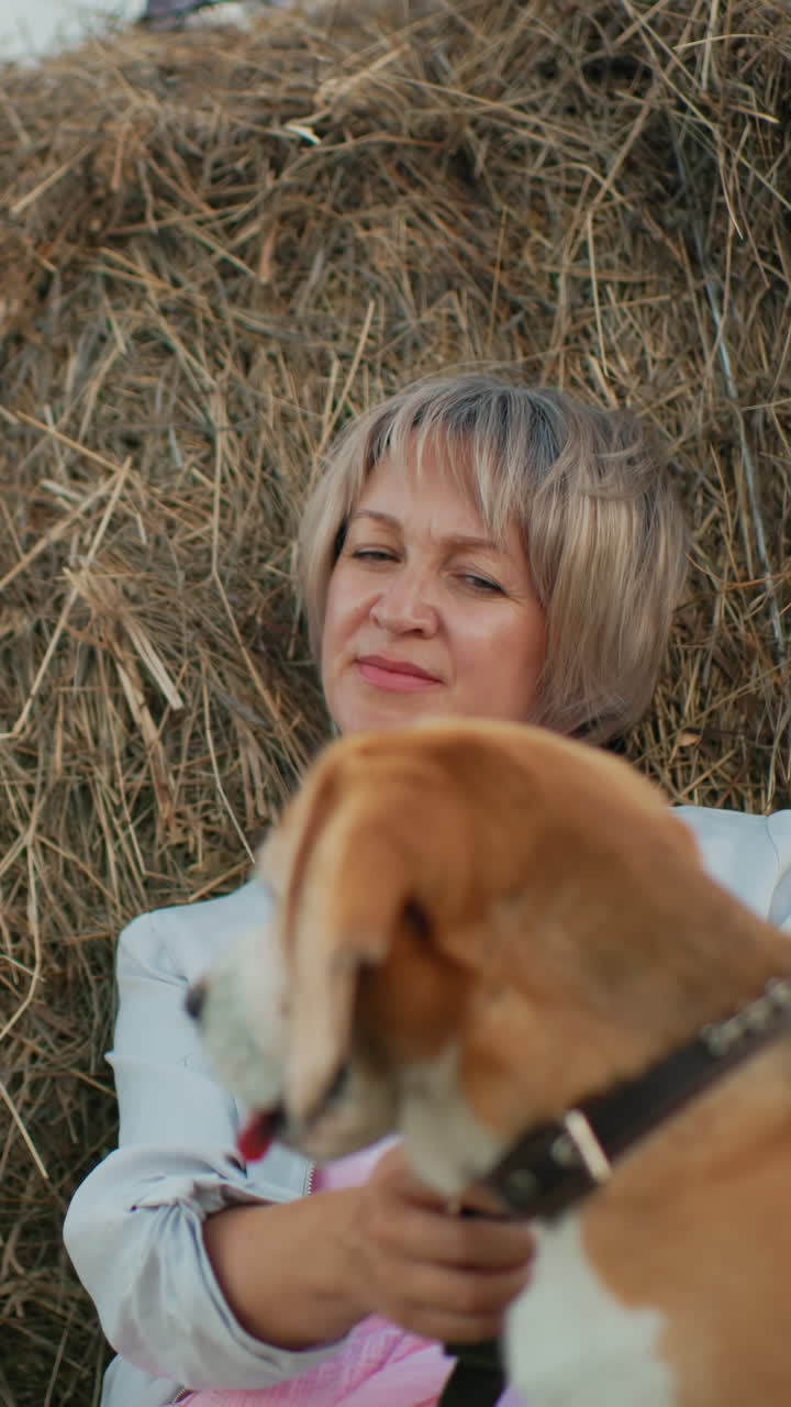 Woman sits peacefully against hay bale, gently rubbing leashed dog's back, dog pants happily while she enjoys serene countryside surroundings with rolling hills, golden grass