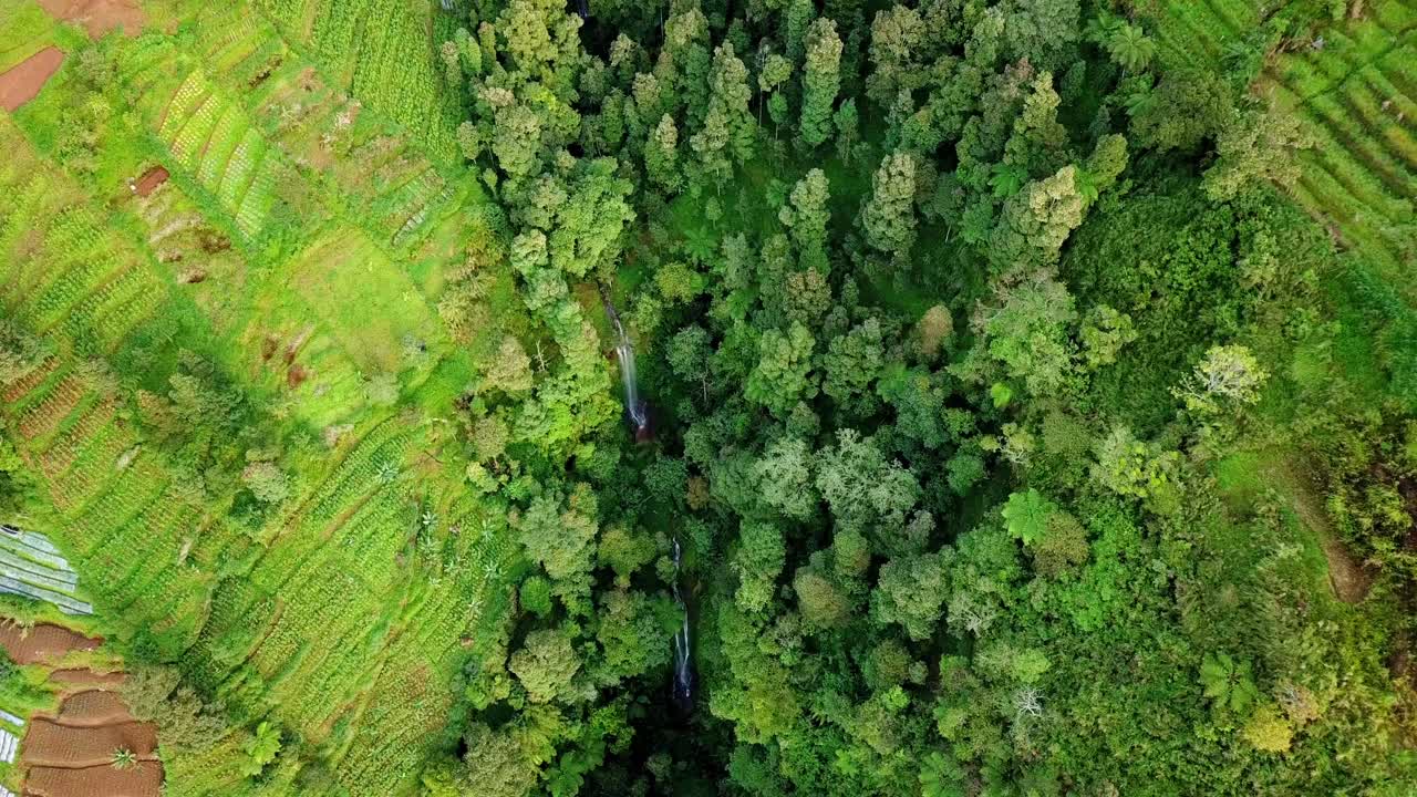 incline hacia abajo la toma de un dron de una cascada escondida en un valle montañoso rodeado de árboles y plantaciones en terrazas - vegetación del paisaje rural tropical