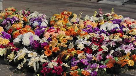 chrysanthemums put up for sale in the street for all saints' day