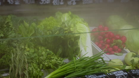 fresh vegetables displayed in a grocery store