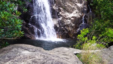 harmonious scenery of pure rocky waterfall in tropical jungle, vietnam