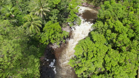 aerial footage of tropical lush green vegetation along water cascades