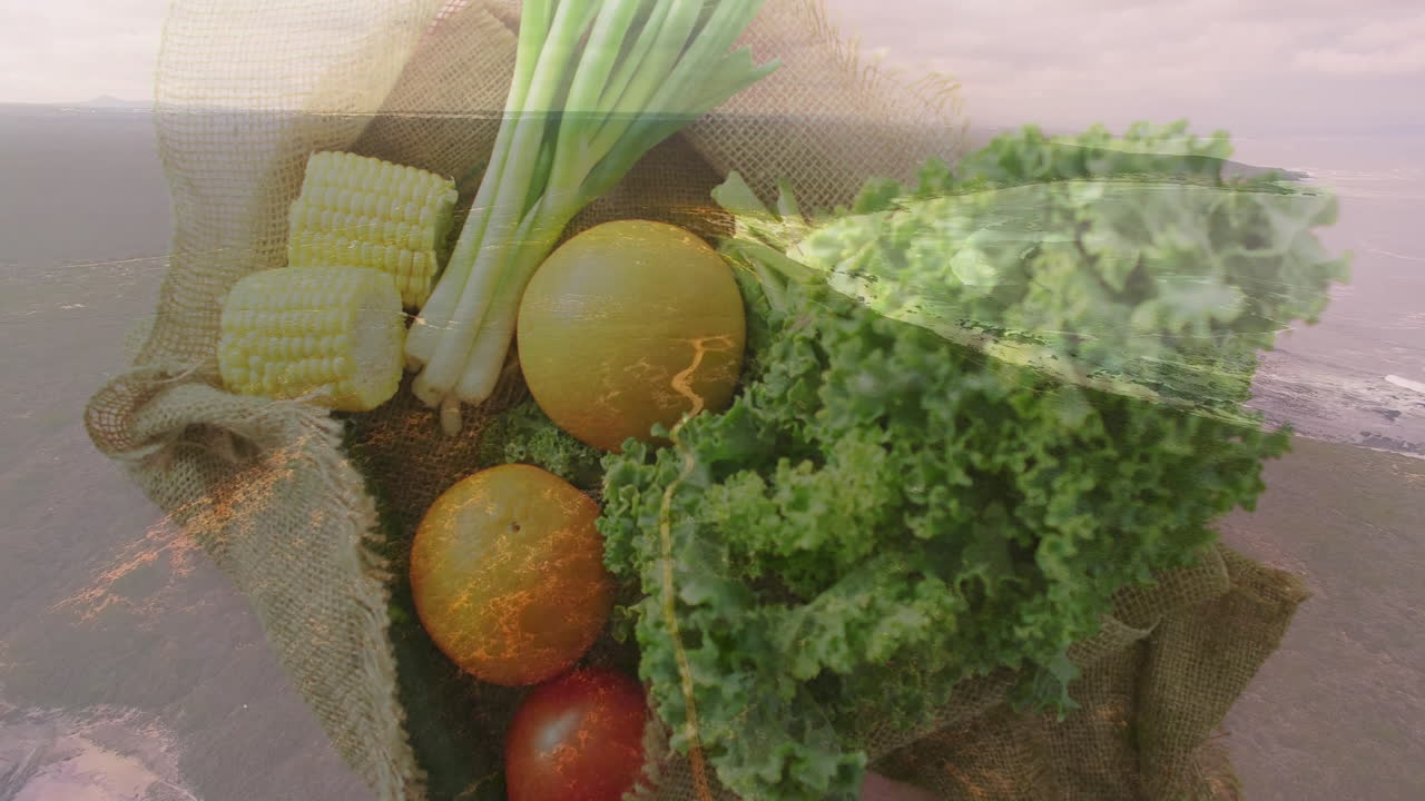 Fresh vegetables including corn, onions, and kale over scenic landscape animation