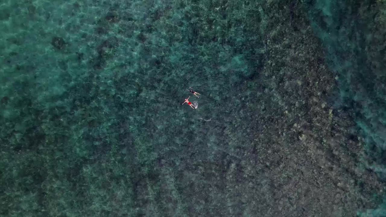 안티구아의 맑고 투명한 카리브해 바다에서 산호초 위로 휴가 수영과 스노클링을 즐기는 커플