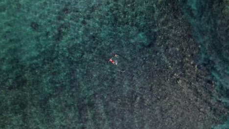 a couple on holiday swim and snorkel over a coral reef in crystal clear caribbean water of antigua