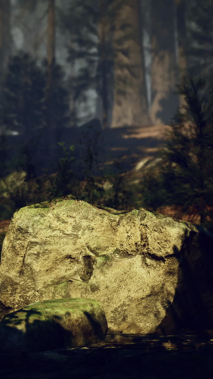 Large stone covered in moss amidst a dense forest environment