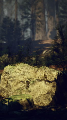 large stone covered in moss amidst a dense forest environment