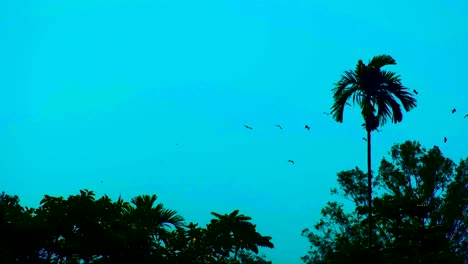 flock of birds flying around over tropical forest at dusk with copy space on left side