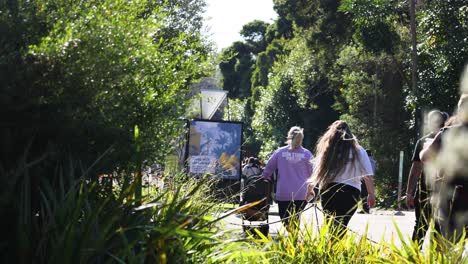 group walking through lush greenery at melbourne zoo