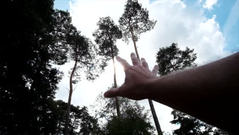 hand grasps sun